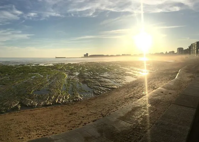 Bel T2 3 Etoiles Parking Inclus Et La A 2 Min ! Lejlighed Les Sables-dʼOlonne